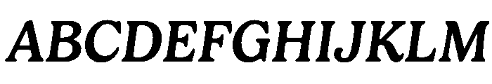 Ltr Principia Variable Medium Italic Font UPPERCASE