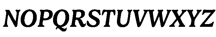 Ltr Principia Variable Medium Italic Font UPPERCASE