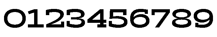 Ltr Slab Extended Variable Bold Font OTHER CHARS
