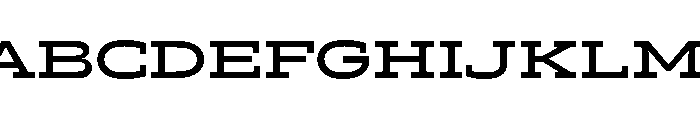 Ltr Slab Extended Variable Bold Font UPPERCASE