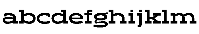 Ltr Slab Extended Variable Bold FONT
