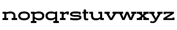Ltr Slab Extended Variable Bold Font LOWERCASE