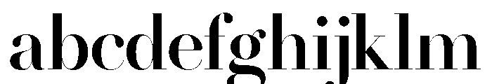 LT Afficher Neue SemBd Display FONT