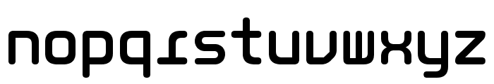 LT Binary Neue Round Bold Font LOWERCASE