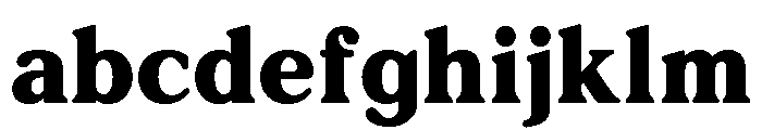LT Cushion Black FONT