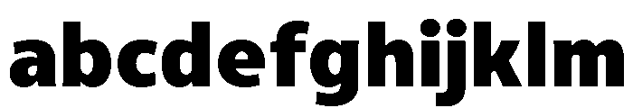 LT Hoop Black FONT