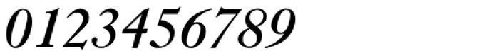 LTC Caslon Long Pro Bold Italic Font OTHER CHARS