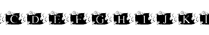 Lucky Horse FONT
