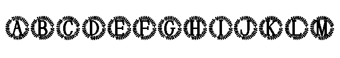 Lumille Monogram FONT