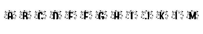 Luminara Split Monogram FONT
