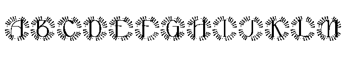 Lunara Monogram FONT