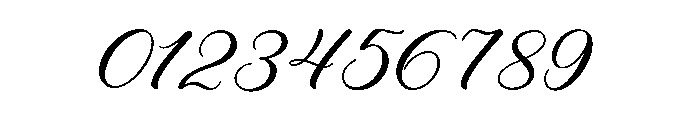 Luxury Romantic Script Font OTHER CHARS