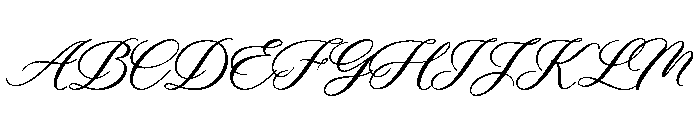 Luxury Romantic Script Font UPPERCASE