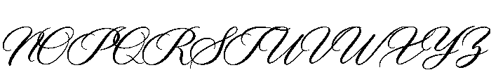 Luxury Romantic Script Font UPPERCASE