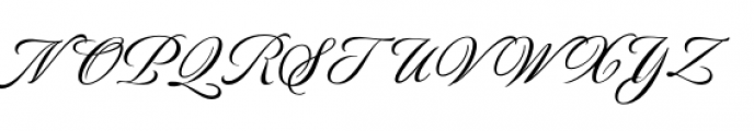 Luxurious Script Font UPPERCASE