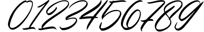 LUXURY & BEAUTY Handwritten Font Bundle 12 Font OTHER CHARS