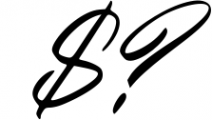 LUXURY & BEAUTY Handwritten Font Bundle 12 Font OTHER CHARS
