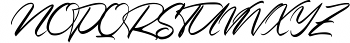 LUXURY & BEAUTY Handwritten Font Bundle 12 Font UPPERCASE