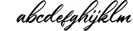 LUXURY & BEAUTY Handwritten Font Bundle 12 Font LOWERCASE
