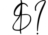 LUXURY & BEAUTY Handwritten Font Bundle 13 Font OTHER CHARS