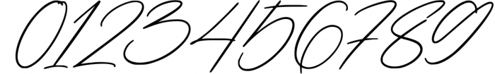 LUXURY & BEAUTY Handwritten Font Bundle 24 Font OTHER CHARS