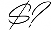 LUXURY & BEAUTY Handwritten Font Bundle 24 Font OTHER CHARS