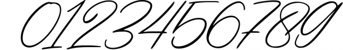 LUXURY & BEAUTY Handwritten Font Bundle 28 Font OTHER CHARS