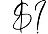 LUXURY & BEAUTY Handwritten Font Bundle 35 Font OTHER CHARS
