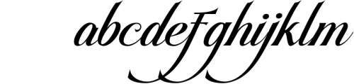 ludovica // A Modern Calligraphy Font Font LOWERCASE