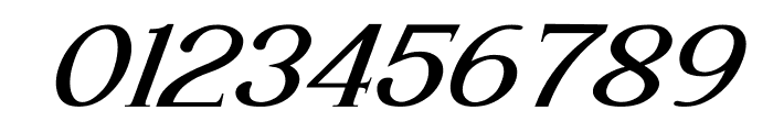 Luimp Bold Italic Font OTHER CHARS