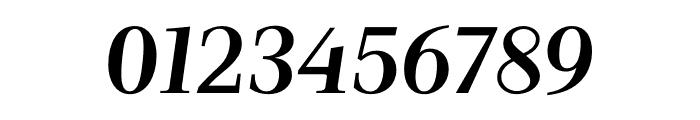 LuissSerif-BoldItalic Font OTHER CHARS
