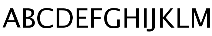 Lucida Sans Regular Font UPPERCASE