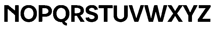 Luma Prime Bold Font UPPERCASE