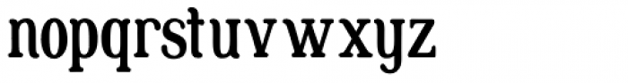Lunaris Medium Condensed Font LOWERCASE