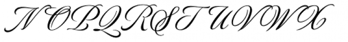 Luxurious Script Font UPPERCASE