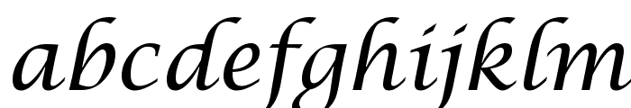 Lucida Calligraphy Italic Font LOWERCASE
