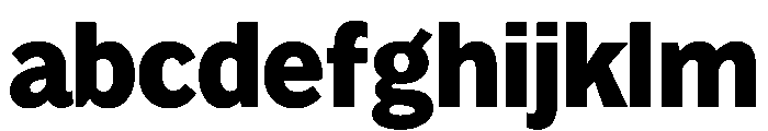 Lupinov02Sans Black Instance FONT