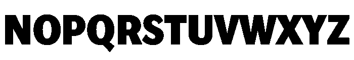 Lupinov0.2Sans Black Font UPPERCASE