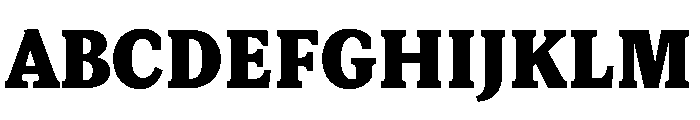 Lupinov0.2Serif Black Font UPPERCASE