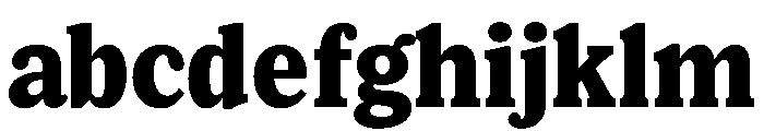 Lupinov0.2Serif Black FONT