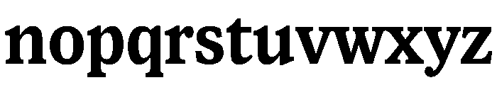 Lupinov02Serif Bold Instance Font LOWERCASE