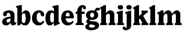 Lupinov02Serif Extrabold Instance FONT