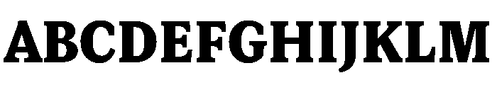 Lupinov0.2Serif Extrabold Font UPPERCASE