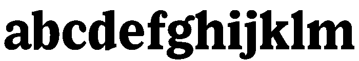 Lupinov0.2Serif Extrabold FONT