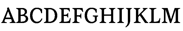 Lupinov0.2Serif Regular Font UPPERCASE