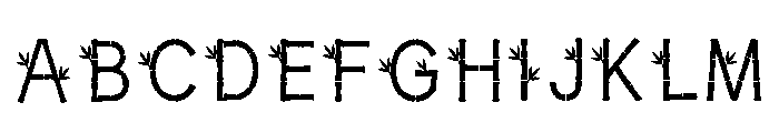 Lynn Regular FONT