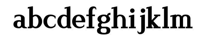 Lyons Serif Bold Font LOWERCASE