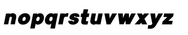 Lyu Lin Extra Black Italic Font LOWERCASE