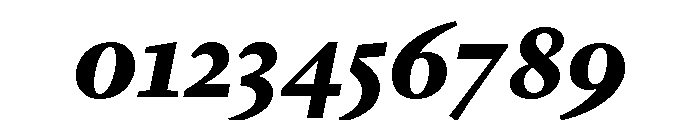Lyon Arabic Slanted Text Black Font OTHER CHARS