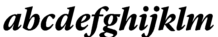 Lyon Arabic Slanted Text Bold FONT
